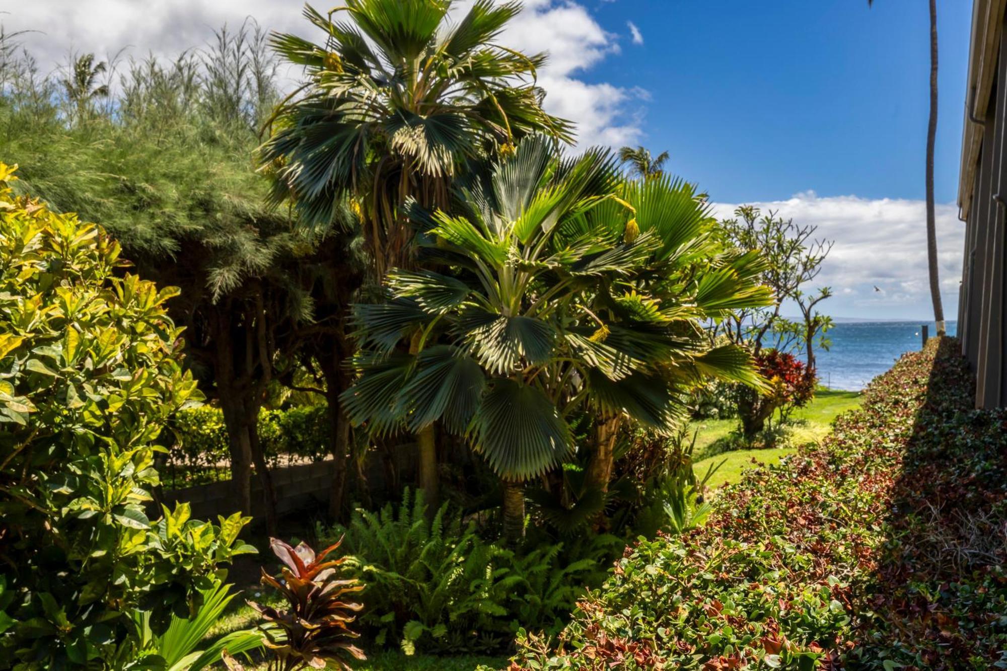 Kihei Kai Oceanfront Condos Bagian luar foto