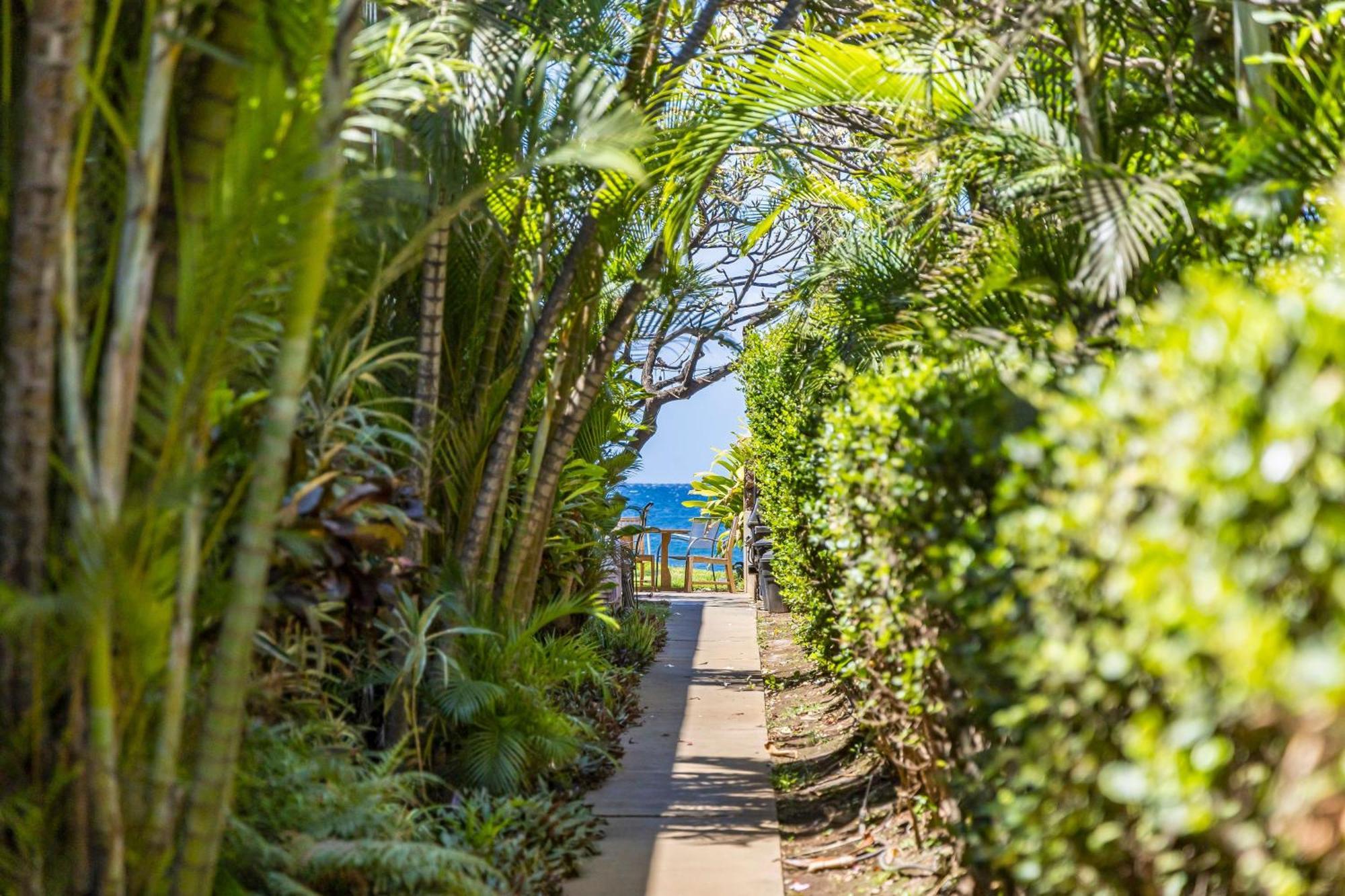 Kihei Kai Oceanfront Condos Bagian luar foto