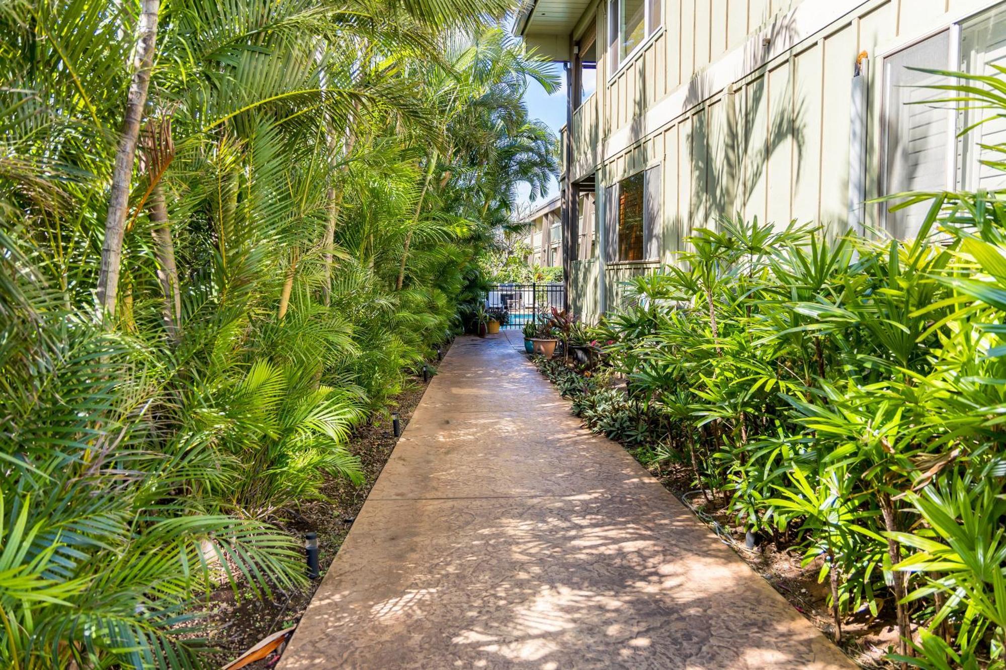 Kihei Kai Oceanfront Condos Bagian luar foto