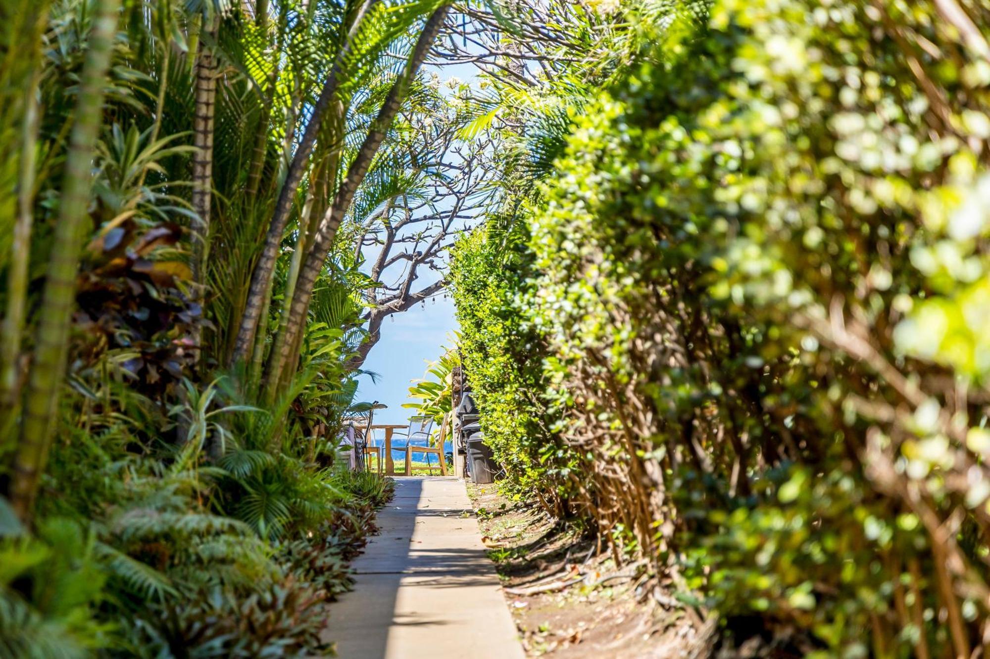 Kihei Kai Oceanfront Condos Bagian luar foto